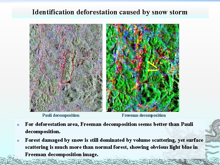 Identification deforestation caused by snow storm Pauli decomposition ² ² Freeman decomposition For deforestation