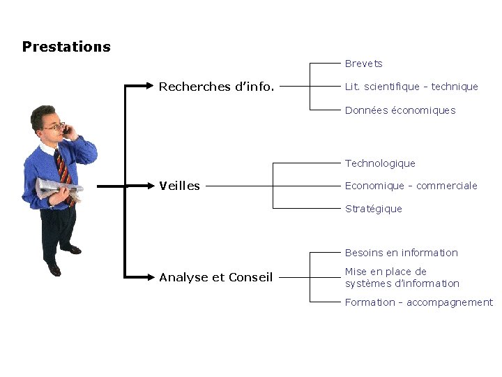 Prestations Brevets Recherches d’info. Lit. scientifique - technique Données économiques Technologique Veilles Economique -