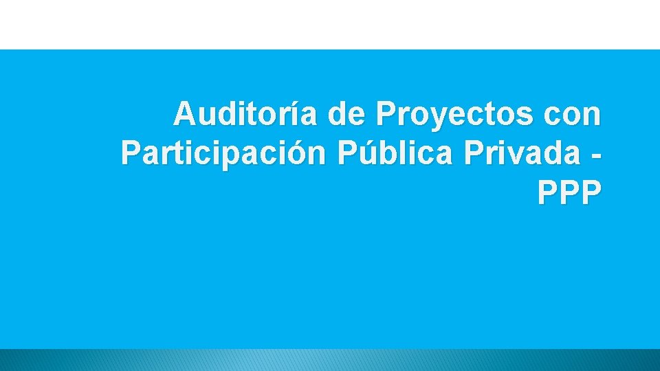 Auditoría de Proyectos con Participación Pública Privada PPP 