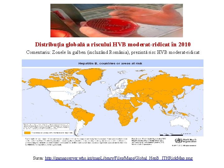 Distribuția globală a riscului HVB moderat-ridicat în 2010 Comentariu: Zonele în galben (incluzând România),
