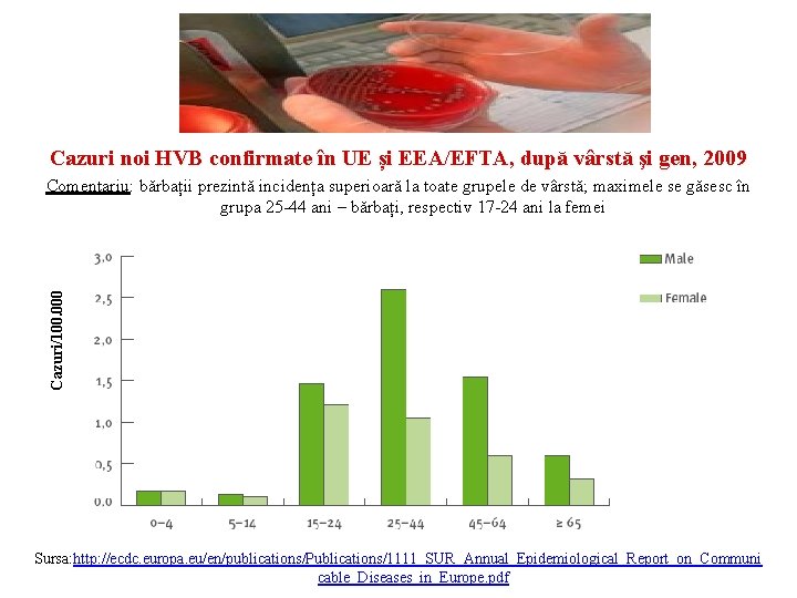 Cazuri noi HVB confirmate în UE și EEA/EFTA, după vârstă şi gen, 2009 Cazuri/100.