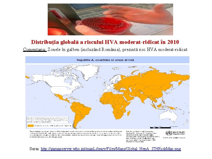 Distribuţia globală a riscului HVA moderat-ridicat în 2010 Comentariu: Zonele în galben (incluzând România),