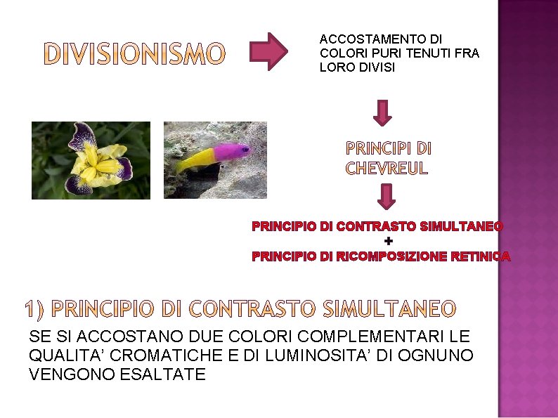 ACCOSTAMENTO DI COLORI PURI TENUTI FRA LORO DIVISI PRINCIPIO DI CONTRASTO SIMULTANEO + PRINCIPIO