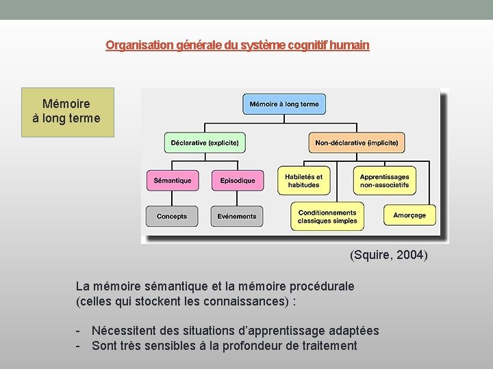 Organisation générale du système cognitif humain Mémoire à long terme (Squire, 2004) La mémoire