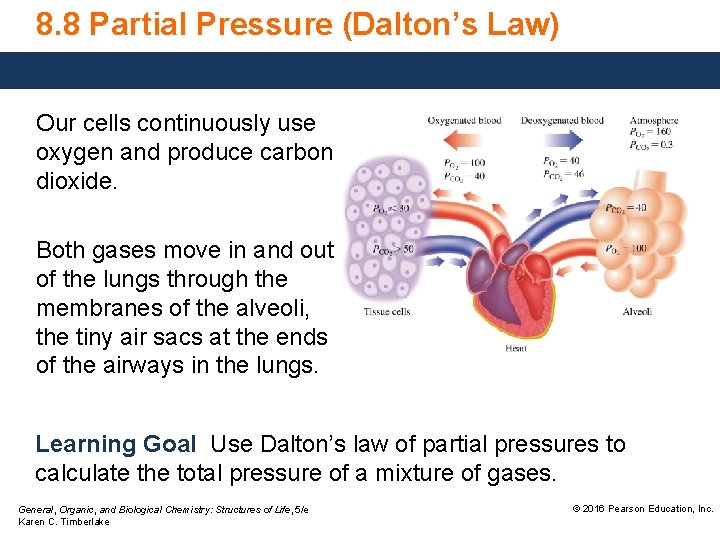 8. 8 Partial Pressure (Dalton’s Law) Our cells continuously use oxygen and produce carbon