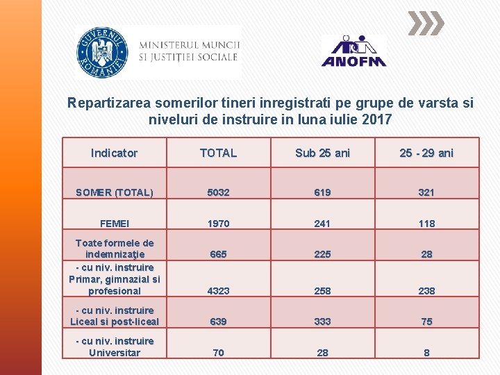 Repartizarea somerilor tineri inregistrati pe grupe de varsta si niveluri de instruire in luna
