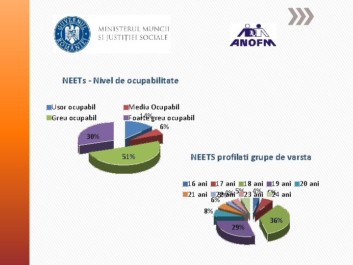 NEETs - Nivel de ocupabilitate Usor ocupabil Greu ocupabil Mediu Ocupabil 14%greu ocupabil Foarte