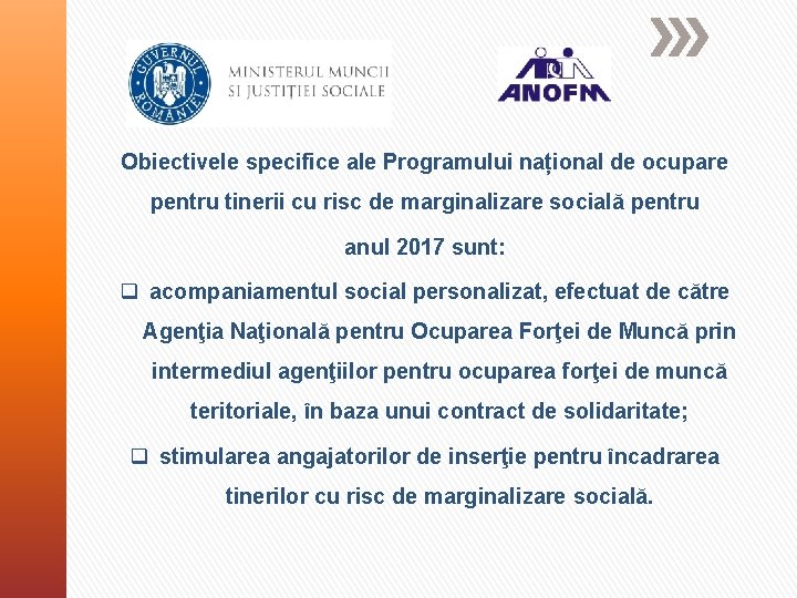 Obiectivele specifice ale Programului național de ocupare pentru tinerii cu risc de marginalizare socială