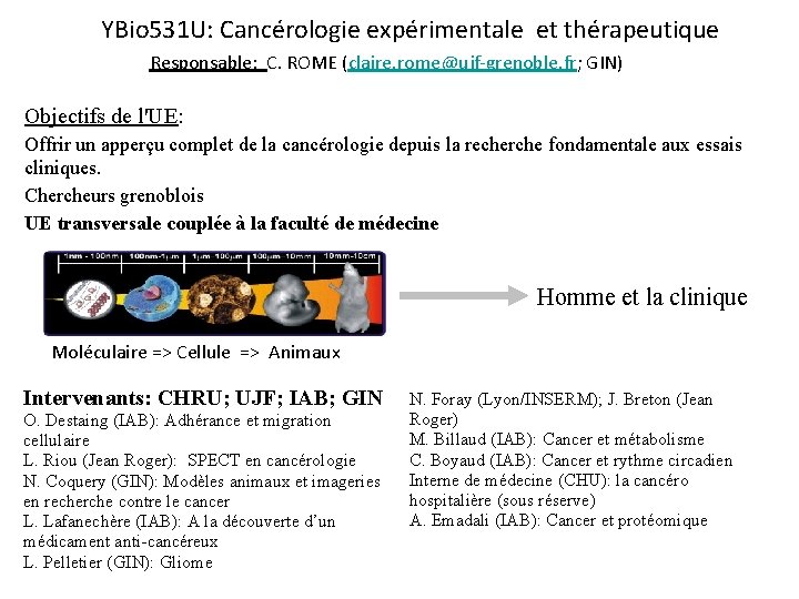 YBio 531 U: Cancérologie expérimentale et thérapeutique Responsable: C. ROME (claire. rome@ujf-grenoble. fr; GIN)