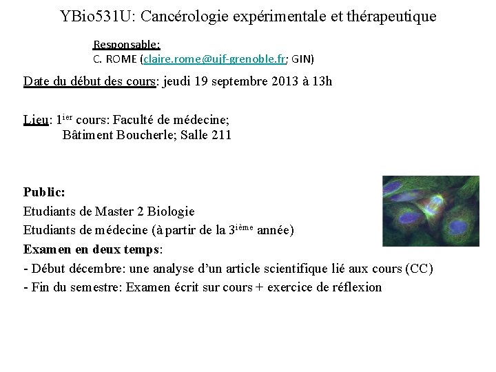 YBio 531 U: Cancérologie expérimentale et thérapeutique Responsable: C. ROME (claire. rome@ujf-grenoble. fr; GIN)