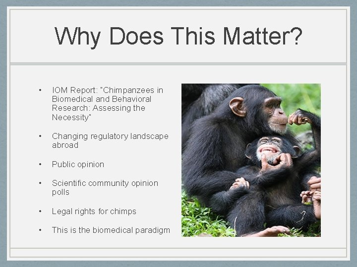 Why Does This Matter? • IOM Report: “Chimpanzees in Biomedical and Behavioral Research: Assessing