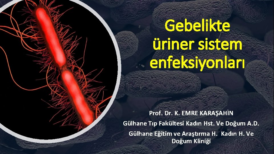 Gebelikte üriner sistem enfeksiyonları Prof. Dr. K. EMRE KARAŞAHİN Gülhane Tıp Fakültesi Kadın Hst.