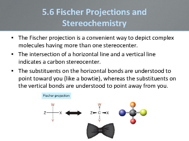 5. 6 Fischer Projections and Stereochemistry • The Fischer projection is a convenient way 5. 6 Fischer Projections and Stereochemistry • The Fischer projection is a convenient way