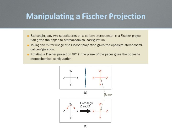 Manipulating a Fischer Projection Manipulating a Fischer Projection
