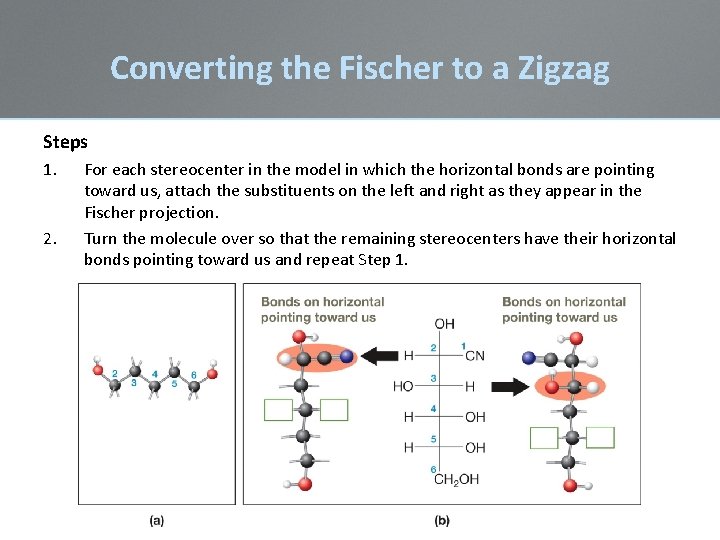 Converting the Fischer to a Zigzag Steps 1. 2. For each stereocenter in the Converting the Fischer to a Zigzag Steps 1. 2. For each stereocenter in the