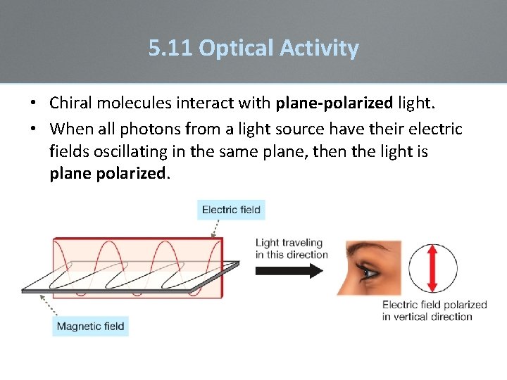 5. 11 Optical Activity • Chiral molecules interact with plane-polarized light. • When all 5. 11 Optical Activity • Chiral molecules interact with plane-polarized light. • When all
