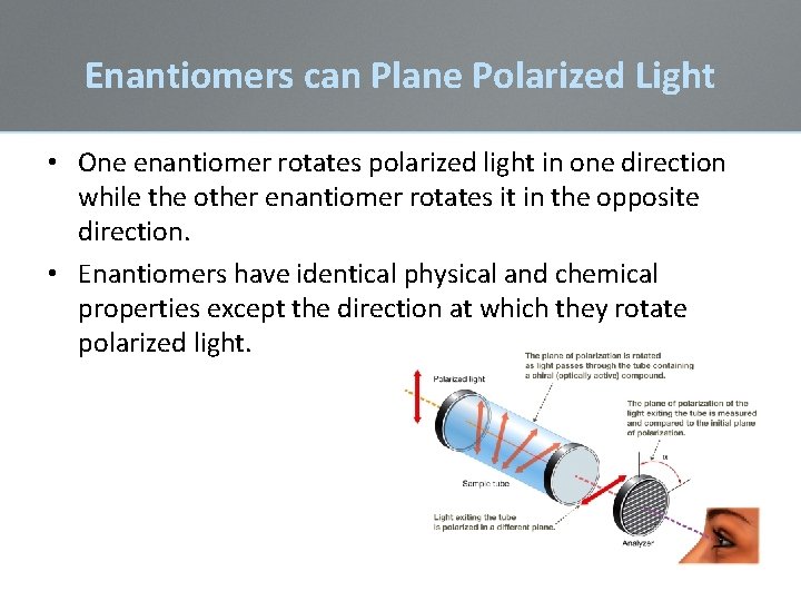 Enantiomers can Plane Polarized Light • One enantiomer rotates polarized light in one direction Enantiomers can Plane Polarized Light • One enantiomer rotates polarized light in one direction