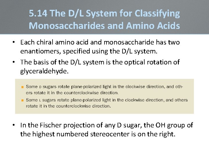 5. 14 The D/L System for Classifying Monosaccharides and Amino Acids • Each chiral 5. 14 The D/L System for Classifying Monosaccharides and Amino Acids • Each chiral