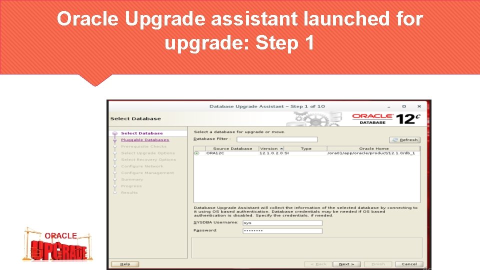 Oracle Upgrade assistant launched for upgrade: Step 1 