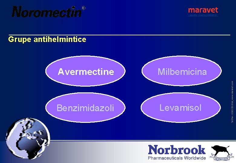 Avermectine Milbemicina Benzimidazoli Levamisol Tel/Fax: 0262 -211. 964, www. maravet. com Grupe antihelmintice 