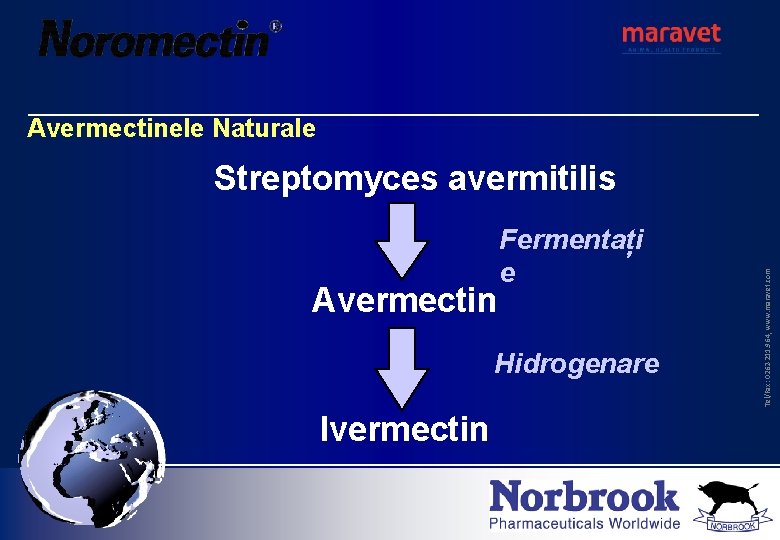 Avermectinele Naturale Avermectin Fermentați e Hidrogenare Ivermectin Tel/Fax: 0262 -211. 964, www. maravet. com