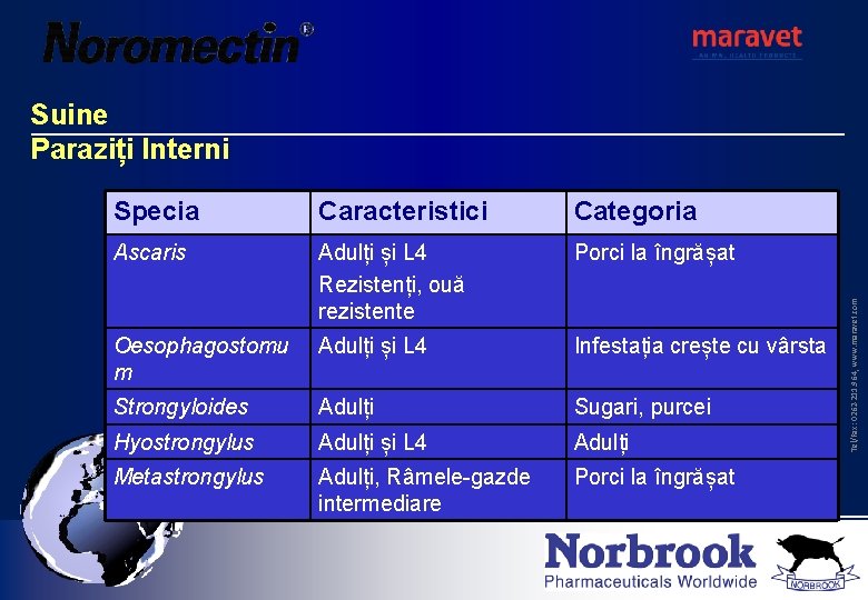 Specia Caracteristici Categoria Ascaris Adulți și L 4 Rezistenți, ouă rezistente Porci la îngrășat