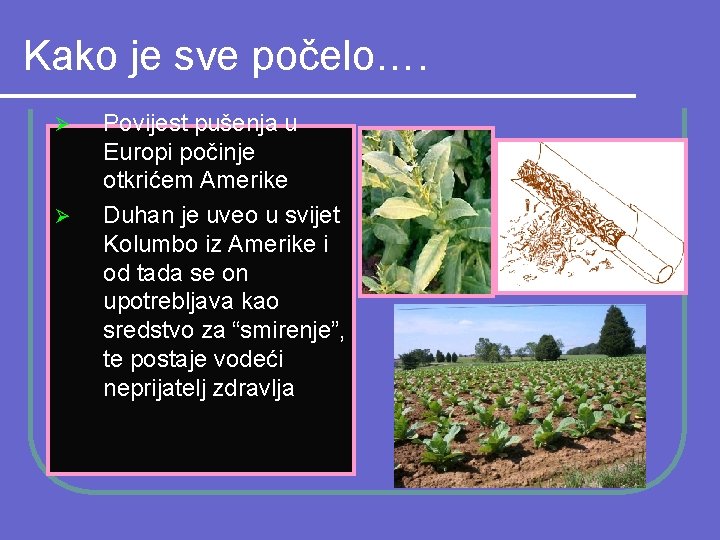 Kako je sve počelo…. Ø Ø Povijest pušenja u Europi počinje otkrićem Amerike Duhan