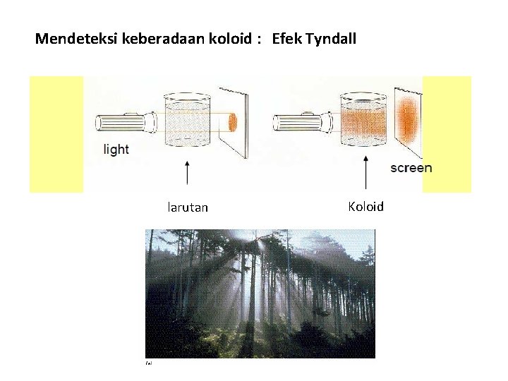 Mendeteksi keberadaan koloid : Efek Tyndall larutan Koloid 