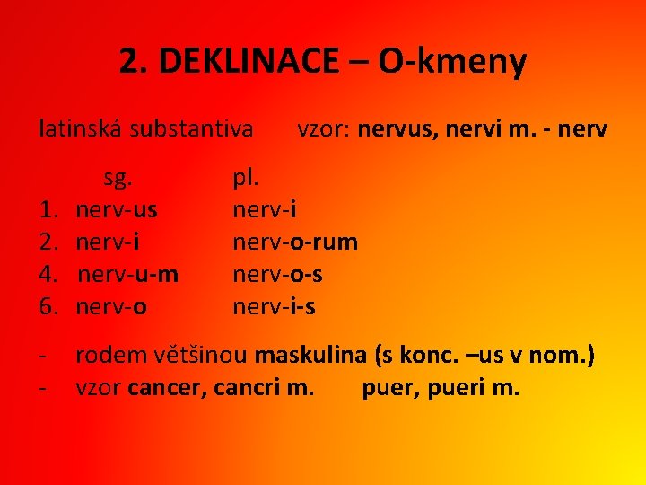 2. DEKLINACE – O-kmeny latinská substantiva vzor: nervus, nervi m. - nerv 1. 2.