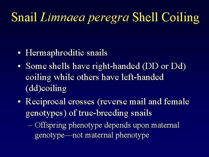 Snail Limnaea peregra Shell Coiling • Hermaphroditic snails • Some shells have right-handed (DD Snail Limnaea peregra Shell Coiling • Hermaphroditic snails • Some shells have right-handed (DD