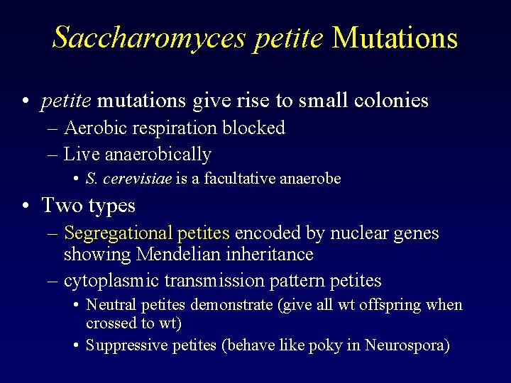 Saccharomyces petite Mutations • petite mutations give rise to small colonies – Aerobic respiration Saccharomyces petite Mutations • petite mutations give rise to small colonies – Aerobic respiration