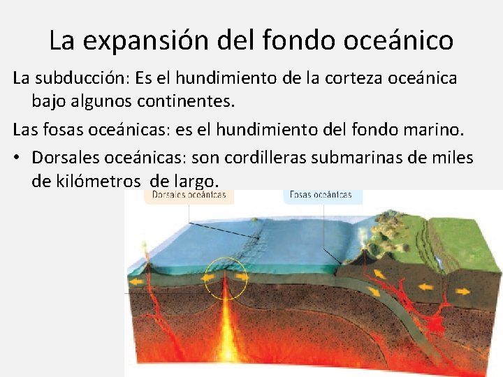 La expansión del fondo oceánico La subducción: Es el hundimiento de la corteza oceánica