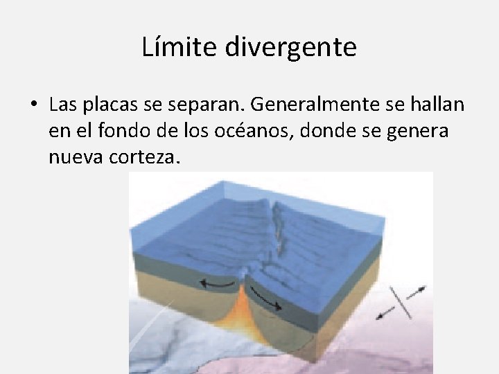Límite divergente • Las placas se separan. Generalmente se hallan en el fondo de