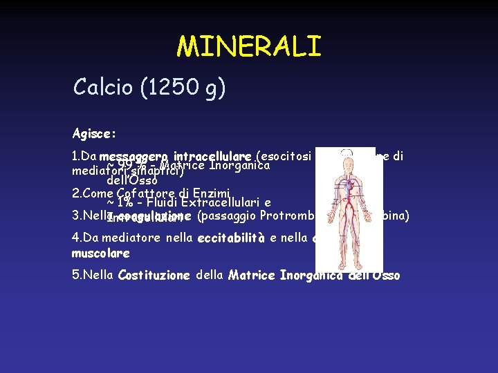 MINERALI Calcio (1250 g) Agisce: 1. Da messaggero intracellulare (esocitosi e liberazione di ~