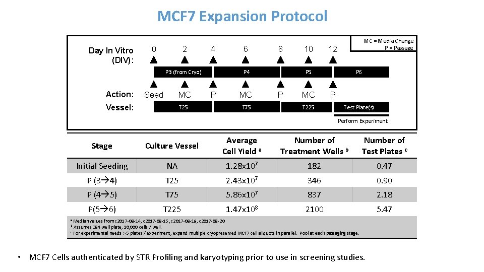 MCF 7 Expansion Protocol Day In Vitro (DIV): 0 2 4 P 3 (from