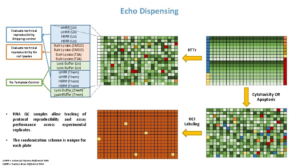 Echo Dispensing Evaluate technical reproducibility. Shipping control Evaluate technical reproducibility for cell lysates No