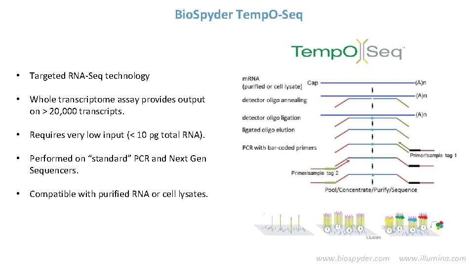 Bio. Spyder Temp. O-Seq • Targeted RNA-Seq technology • Whole transcriptome assay provides output