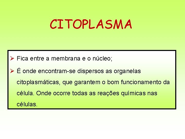 CITOPLASMA Ø Fica entre a membrana e o núcleo; Ø É onde encontram-se dispersos CITOPLASMA Ø Fica entre a membrana e o núcleo; Ø É onde encontram-se dispersos