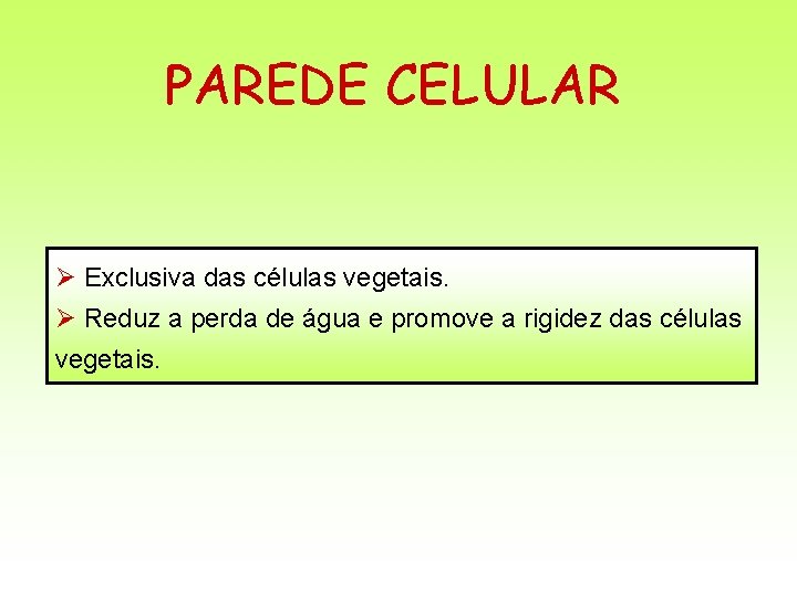 PAREDE CELULAR Ø Exclusiva das células vegetais. Ø Reduz a perda de água e