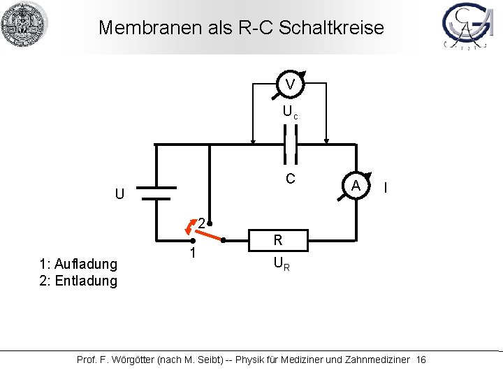 Membranen als R-C Schaltkreise V Uc C U A I 2 1: Aufladung 2: