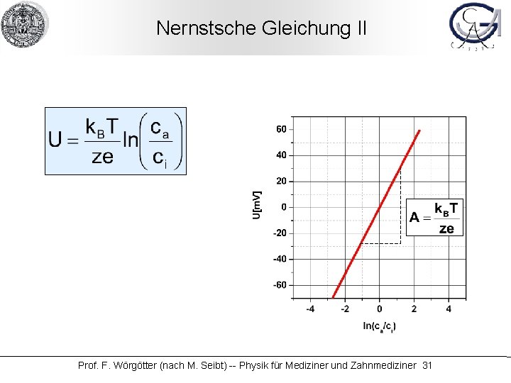 Nernstsche Gleichung II Prof. F. Wörgötter (nach M. Seibt) -- Physik für Mediziner und