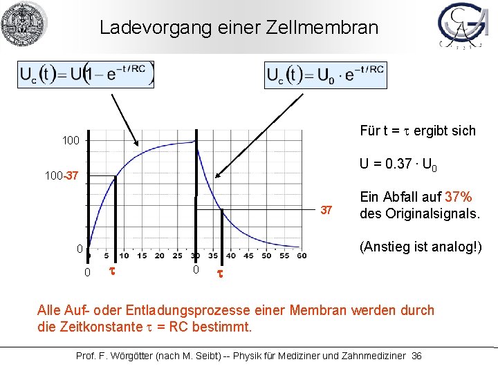 Ladevorgang einer Zellmembran Für t = t ergibt sich 100 U = 0. 37.