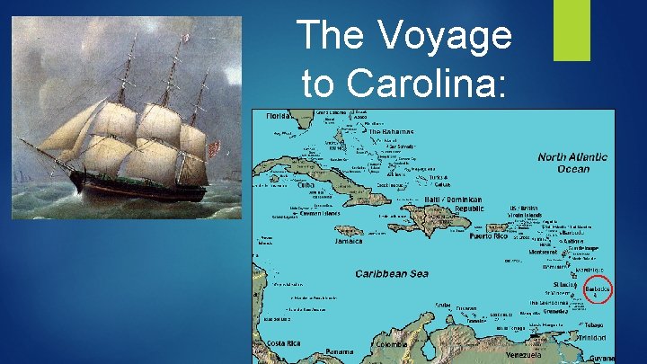 The Voyage to Carolina: 