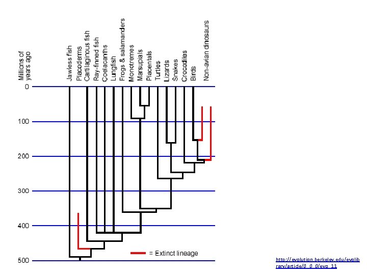 http: //evolution. berkeley. edu/evolib rary/article/0_0_0/evo_11 