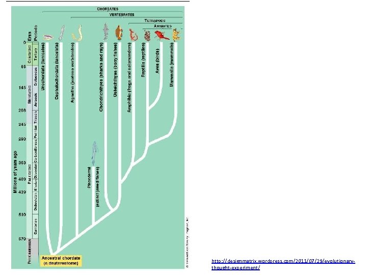 http: //designmatrix. wordpress. com/2011/07/29/evolutionarythought-experiment/ 
