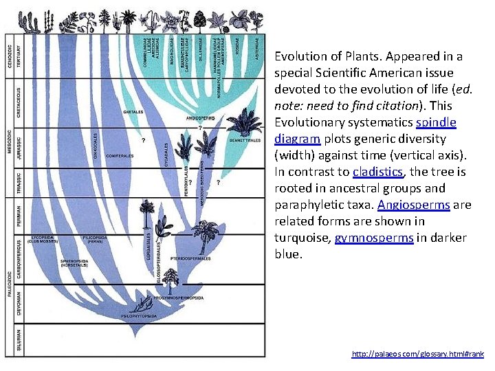 Evolution of Plants. Appeared in a special Scientific American issue devoted to the evolution