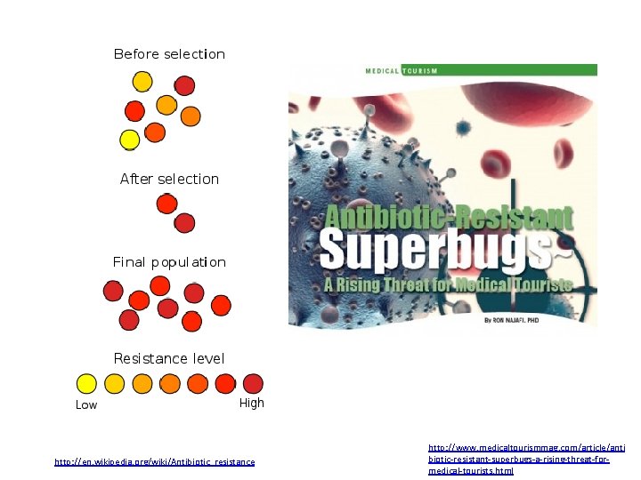 http: //en. wikipedia. org/wiki/Antibiotic_resistance http: //www. medicaltourismmag. com/article/anti biotic-resistant-superbugs-a-rising-threat-formedical-tourists. html 