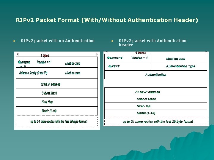 RIPv 2 Packet Format (With/Without Authentication Header) u RIPv 2 packet with no Authentication