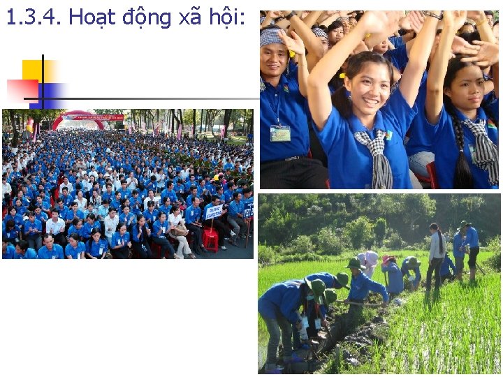 1. 3. 4. Hoạt động xã hội: 