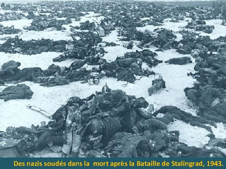 Des nazis soudés dans la mort après la Bataille de Stalingrad, 1943. 